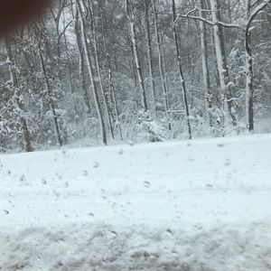 Meet your Posher, Voice